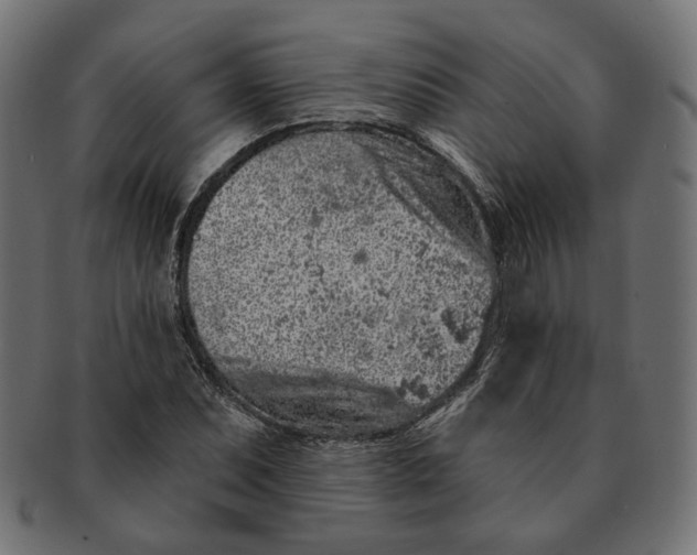 X0000091531071200709071035