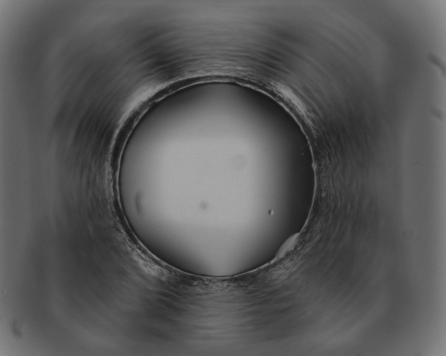 X0000091531072200709071035