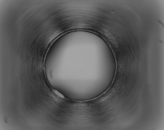 X0000091531073200709071035
