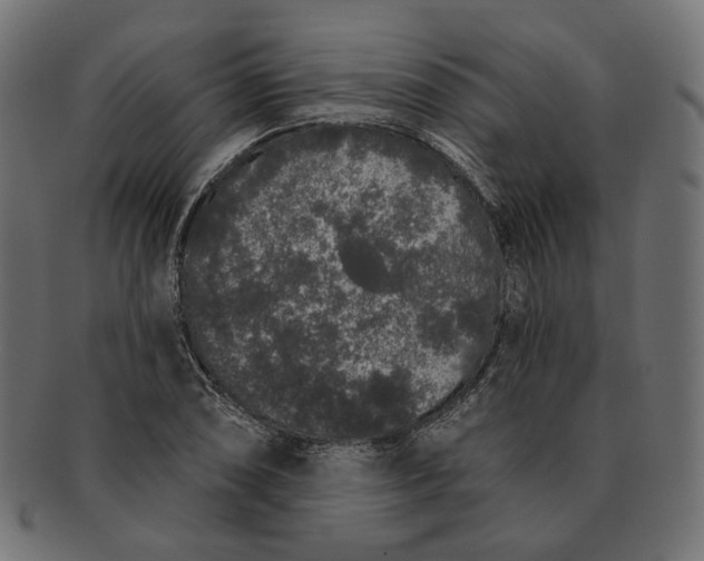 X0000091531074200709071035