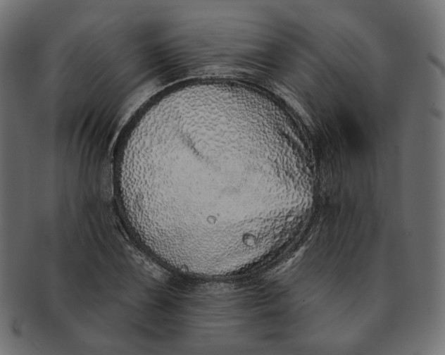 X0000091531075200709071035