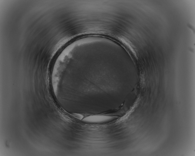 X0000091531077200709071035