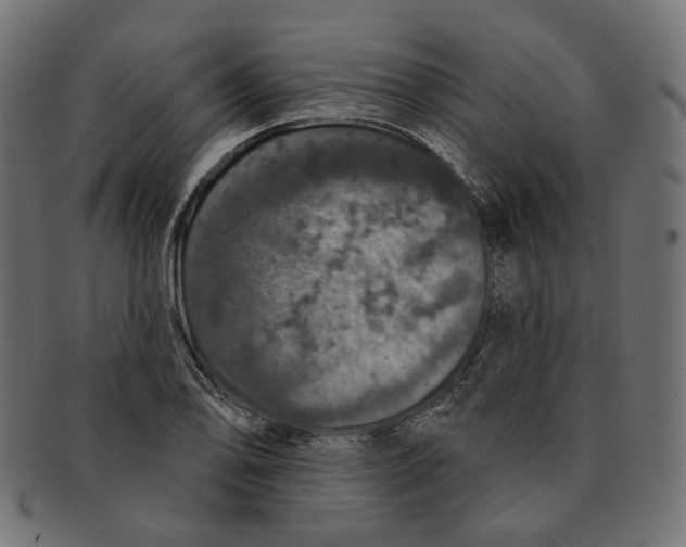 X0000091531078200709071035