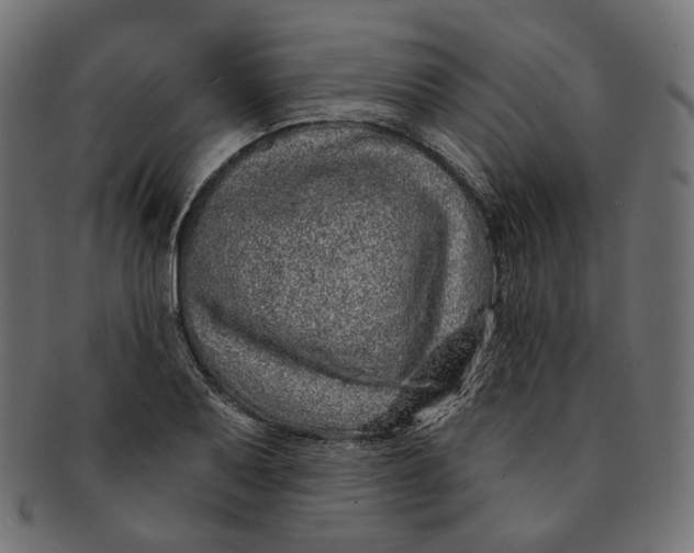 X0000091531079200709071035