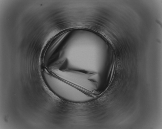 X0000091531080200709071035