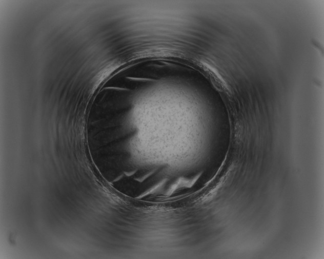 X0000091531081200709071035