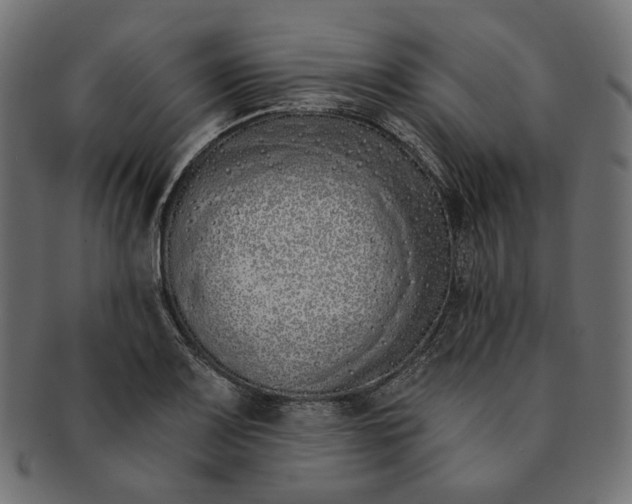 X0000091531083200709071035