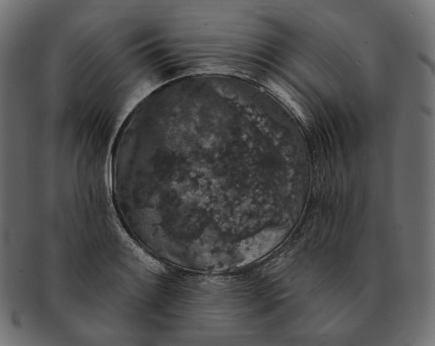 X0000091531084200709071035