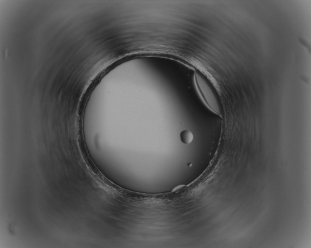 X0000091531085200709071035