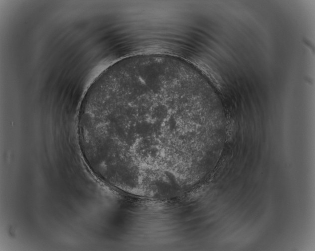 X0000091531086200709071035