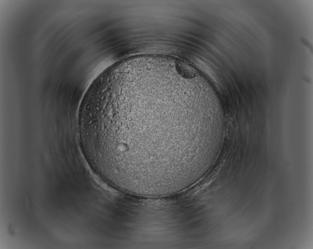 X0000091531087200709071035