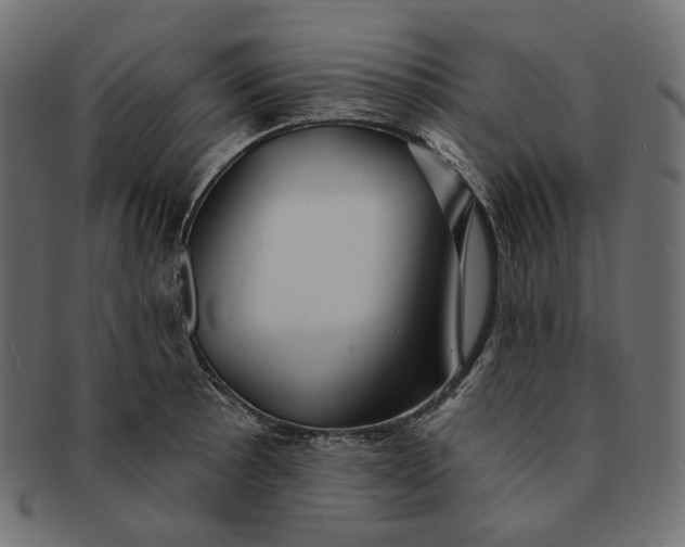 X0000091531089200709071035