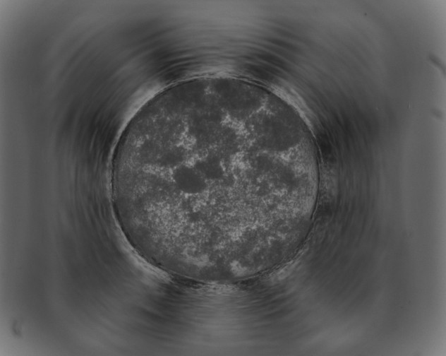 X0000091531090200709071035