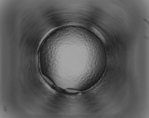 X0000091531092200709071035