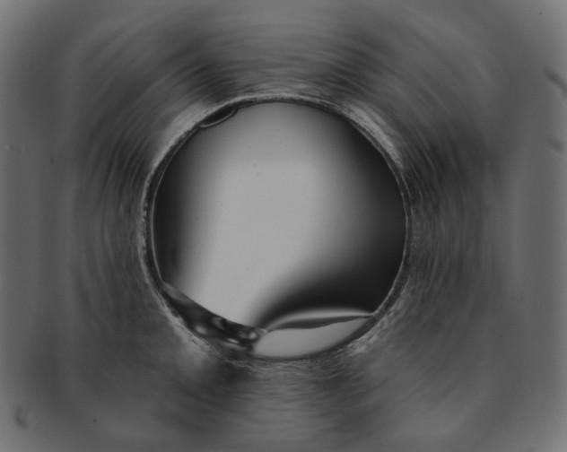 X0000091531093200709071035