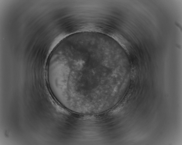 X0000091531094200709071035