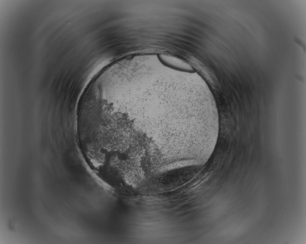 X0000091531095200709071035