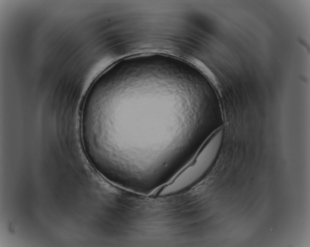 X0000091531096200709071035