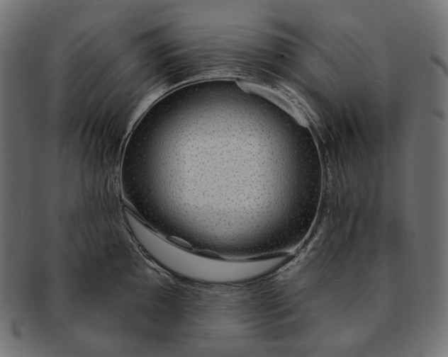 X0000091531097200709071035