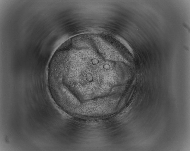 X0000091531099200709071035