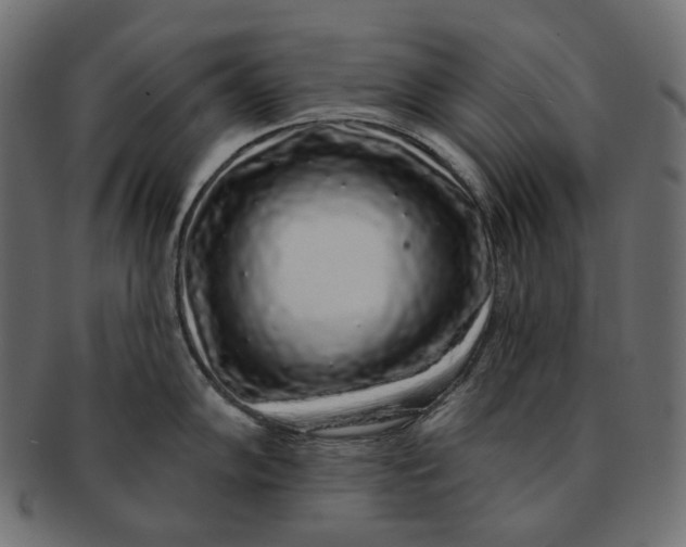 X0000091531102200709071034