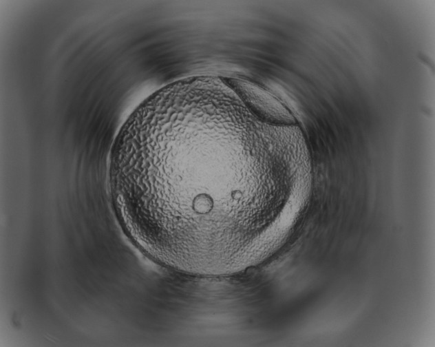 X0000091531103200709071034