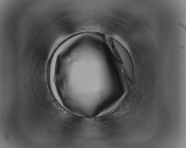 X0000091531104200709071034