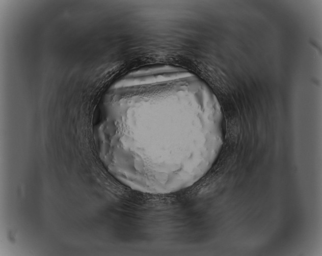 X0000091531105200709071034