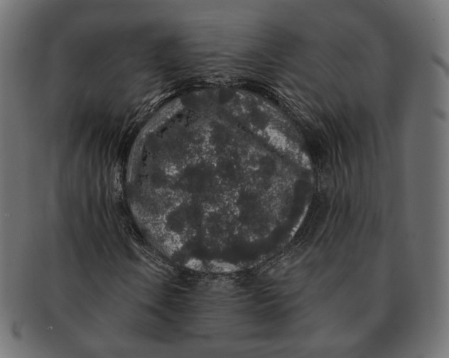 X0000091531106200709071034