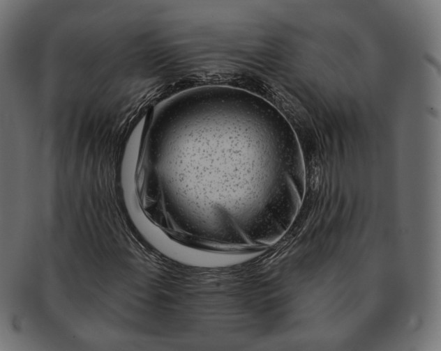 X0000091531108200709071034