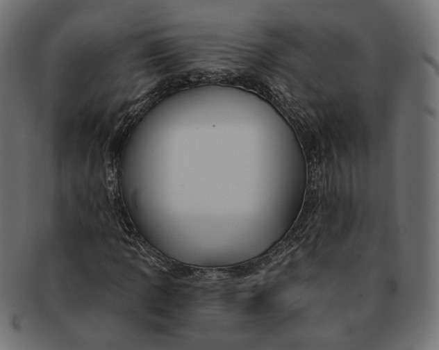 X0000091531109200709071034