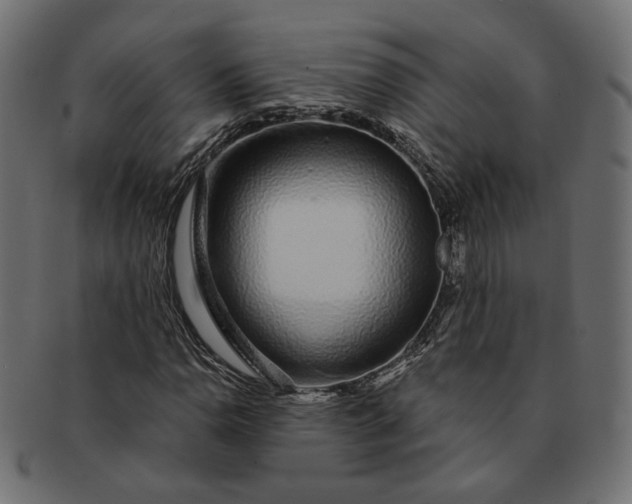 X0000091531110200709071034