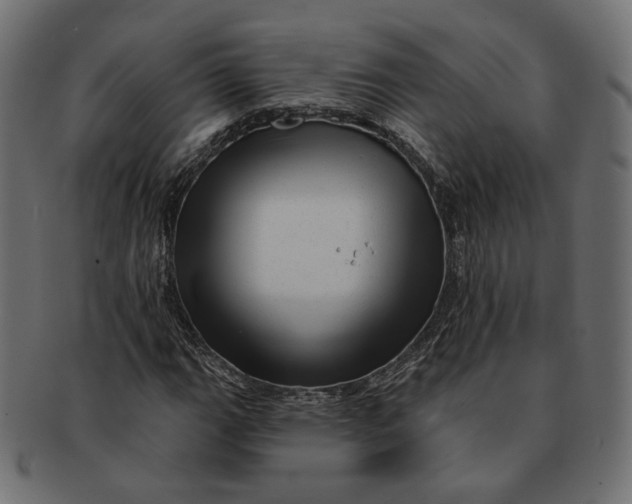 X0000091531111200709071034