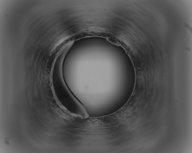 X0000091531112200709071034