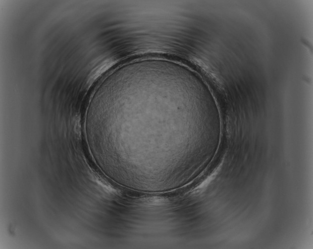 X0000091531113200709071034
