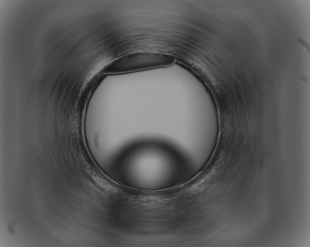 X0000091531114200709071034