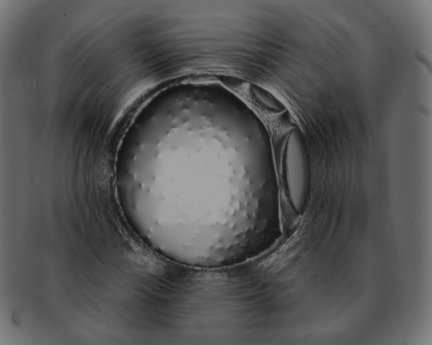 X0000091531115200709071034