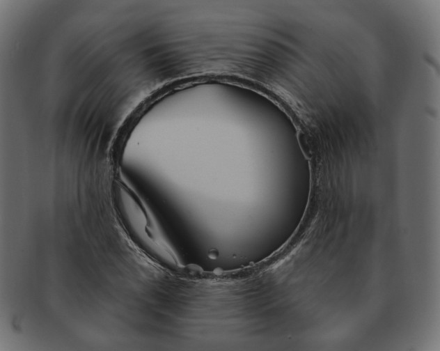 X0000091531118200709071034