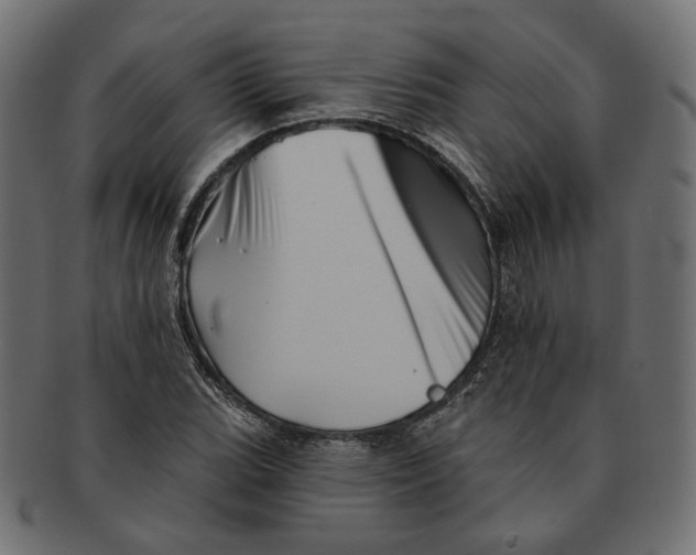 X0000091531119200709071034