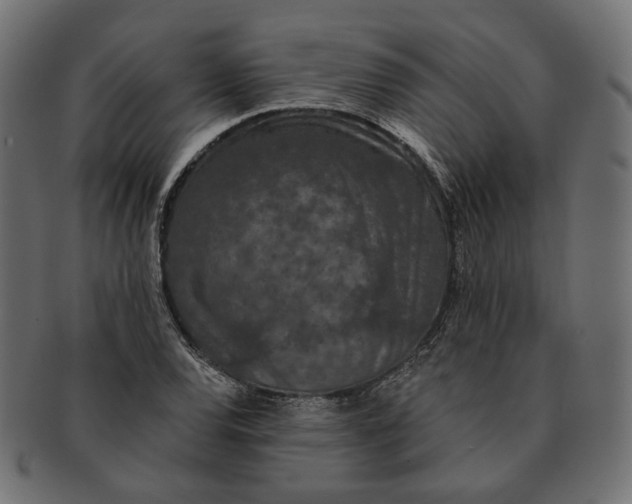 X0000091531120200709071034