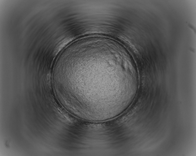 X0000091531121200709071034