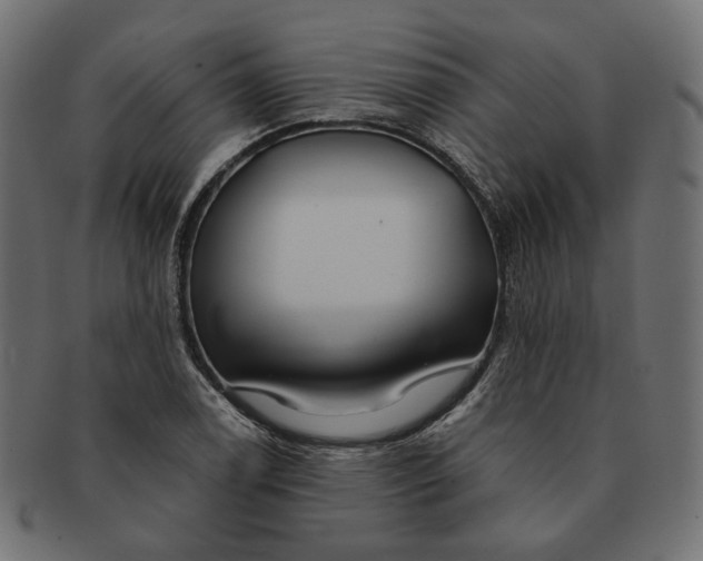 X0000091531122200709071034