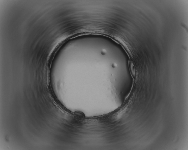 X0000091531123200709071034