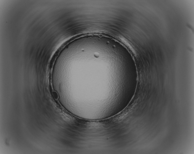 X0000091531124200709071034