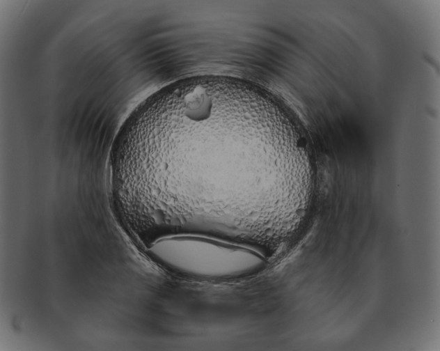 X0000091531125200709071034