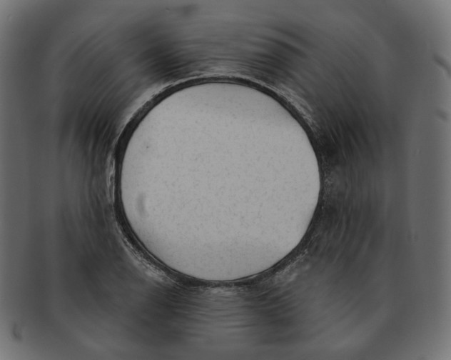 X0000091531126200709071034