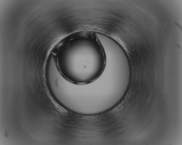 X0000091531128200709071034