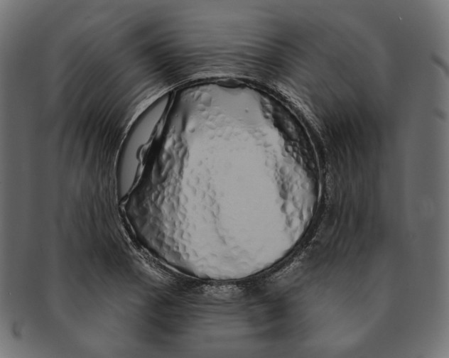 X0000091531129200709071034