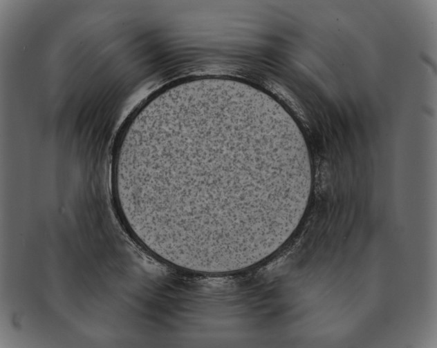 X0000091531130200709071034
