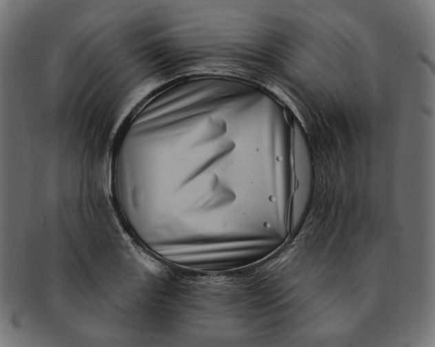 X0000091531131200709071034